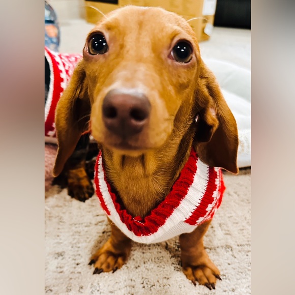 Hi Friend, I’m Christeena - Picture 11 of 16